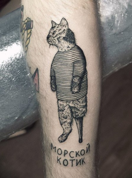 Морской котик