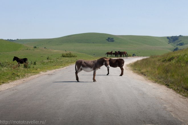На мотоцикле в Джылы Су